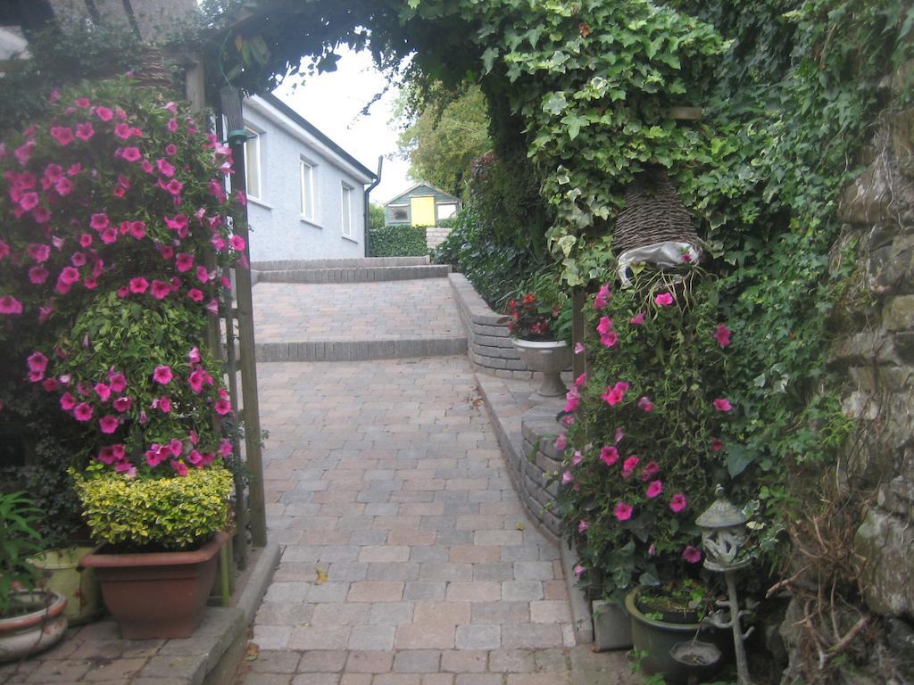 Ashleigh House Bed & Breakfast Monaghan Buitenkant foto