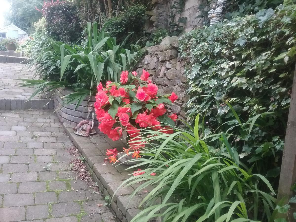 Ashleigh House Bed & Breakfast Monaghan Buitenkant foto