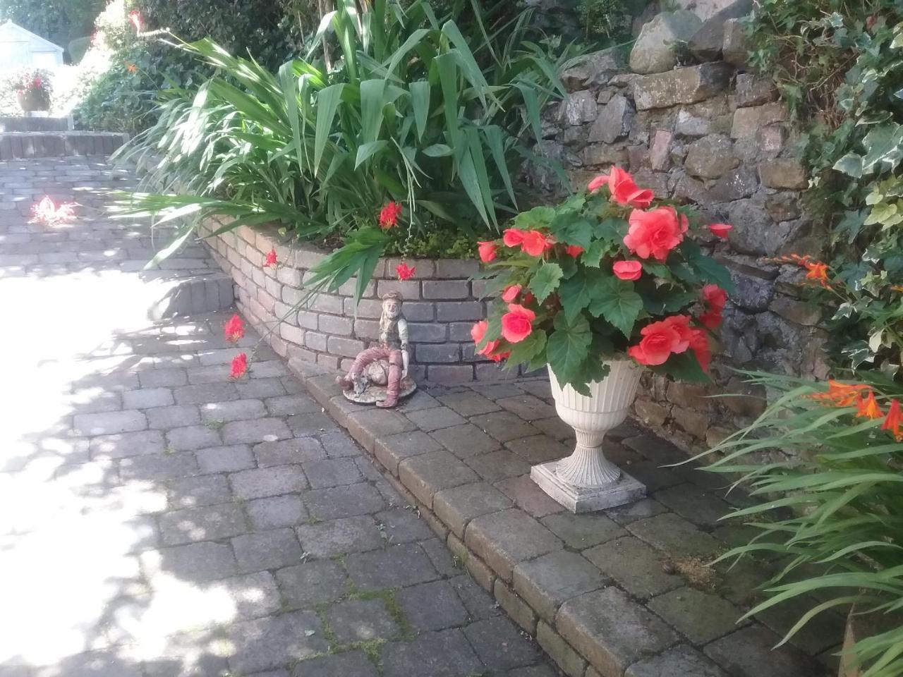 Ashleigh House Bed & Breakfast Monaghan Buitenkant foto